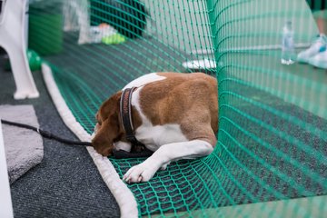 Bild 99 - RL TC RW Wahlstedt - Der Club an der Alster : Ergebnis: 1:5